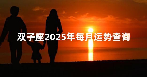 双子座2025年每月运势查询