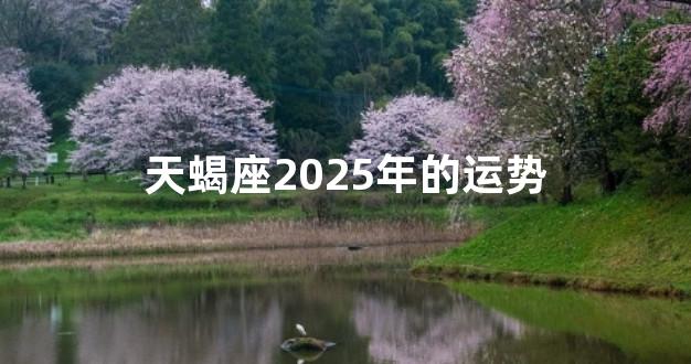 天蝎座2025年的运势