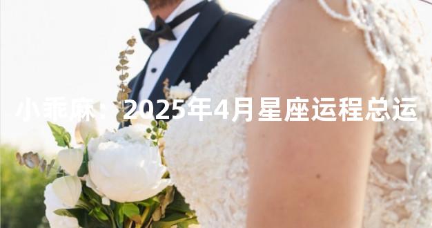 小乖麻：2025年4月星座运程总运