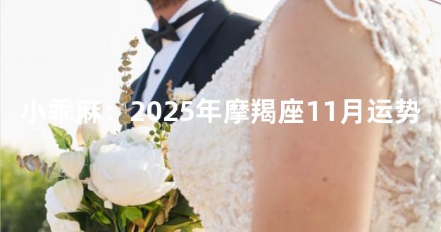 小乖麻：2025年摩羯座11月运势