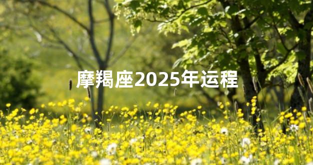 摩羯座2025年运程