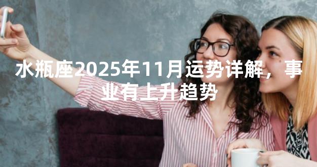 水瓶座2025年11月运势详解，事业有上升趋势